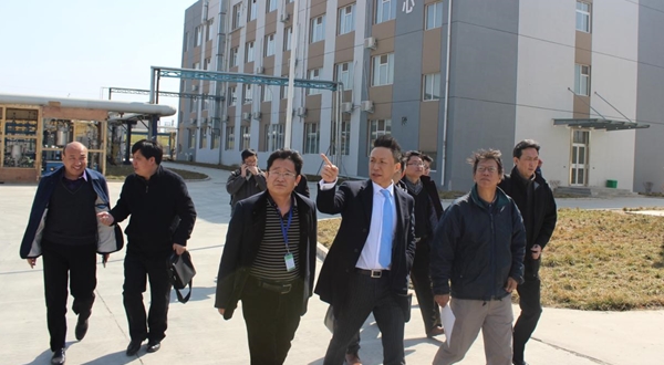 1584000295560626.jpg 1.jpg